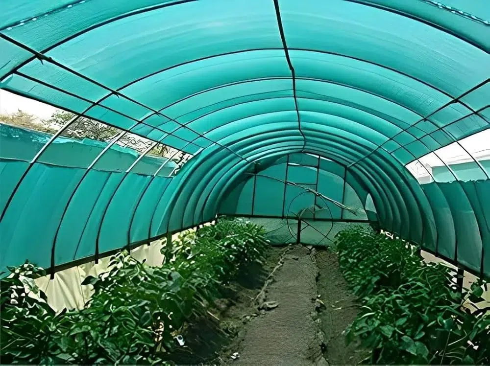 hdpe-green-agricultural-shade-nets in KSA